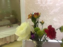 -本真坊美容美体沙龙