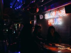 -Darling Queen·Mini·Live·House