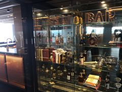 -新加坡瑞士史丹福酒店