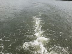 -西湖游船