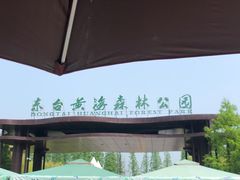 -黄海国家森林公园