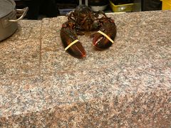 -阳光码头海鲜火锅(玉立路店)