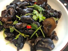 鲜拌黑木耳-锡和无锡菜(景丽苑店)