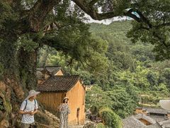 -杨家堂村