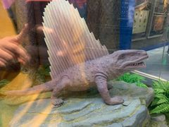 -国家自然博物馆