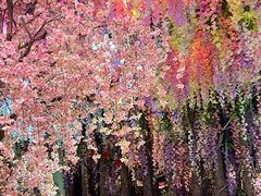 -正佳雨林生态植物园