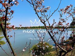 -美兰湖景区