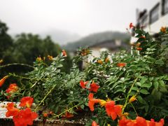 -杭州西湖风景名胜区-满觉陇四眼井