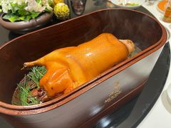 -鹿园 MOOSE(长宁店)