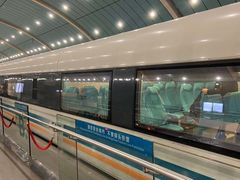 -浦东1号2号航站楼(地铁站)