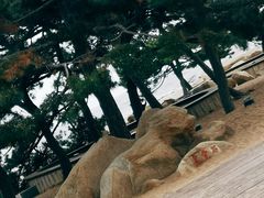 -老虎石海上公园