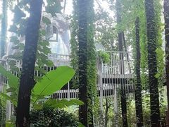 -二荆条·城市森林火锅旗舰店