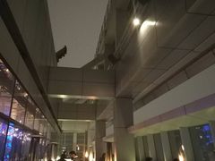 -OZONE 顶楼酒吧(香港丽思卡尔顿酒店)