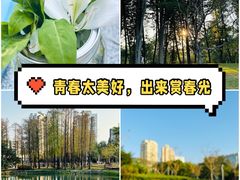 -四海公园(南山区)