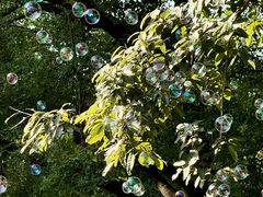 -海珠湖公园