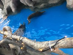 -华夏文旅海洋公园