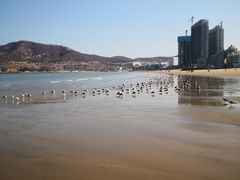 -金海滩海水浴场