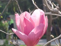 -晓港公园