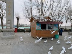 -天津妈祖文化园