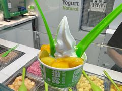 -Salud撒露欧洲冻酸奶(蓝色港湾店)