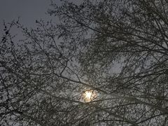 -浙江大学(玉泉校区)