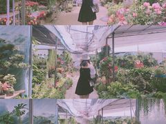 -秀丽东方