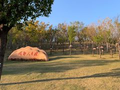 -牛岗山公园
