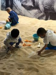 -恐龙探索乐园(磁器口店)