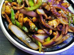 辣炒八爪鱼-金谷园饺子·烧烤(人大总店)