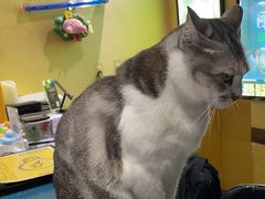 -谜盒子奇幻密室(南屏店)