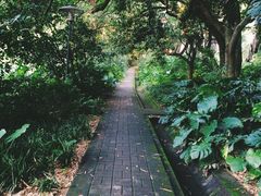 -中山大学学者灵芝(园南路店)