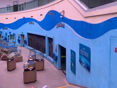 -陕西自然博物馆