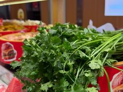 -龍歌自助小火锅(市南金茂湾店)