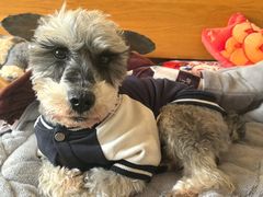 -派特宠物医院(圆融广场店)