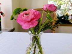 -蝶舍·MAISON PAPILLON