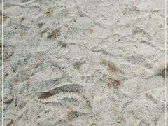 -天鹅湖体育公园