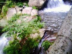 景点-藏龙百瀑风景区