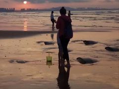 -青岛第二海水浴场