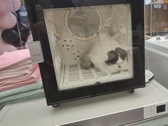 -FAELING PETS美天灵宠物(合生汇店)