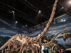 -自贡恐龙博物馆