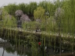 -西安汉城湖景区