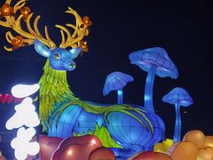 -武汉园博园(武汉自然博物馆)