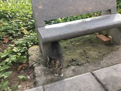 -晓港公园