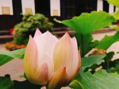 -宝光寺