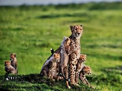 -罗红摄影艺术馆