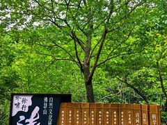-佛慧山