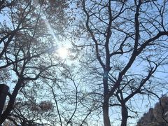 -终南山南五台景区