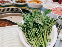 -蜀留香火锅·始于1999·原四川老火锅(白堤路店)