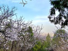 -阳台山自然风景区