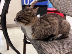 -中田健身工作室(嘉定江桥店)